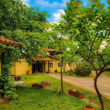 Villa Anthemia Naousa  Ngoại thất bức ảnh